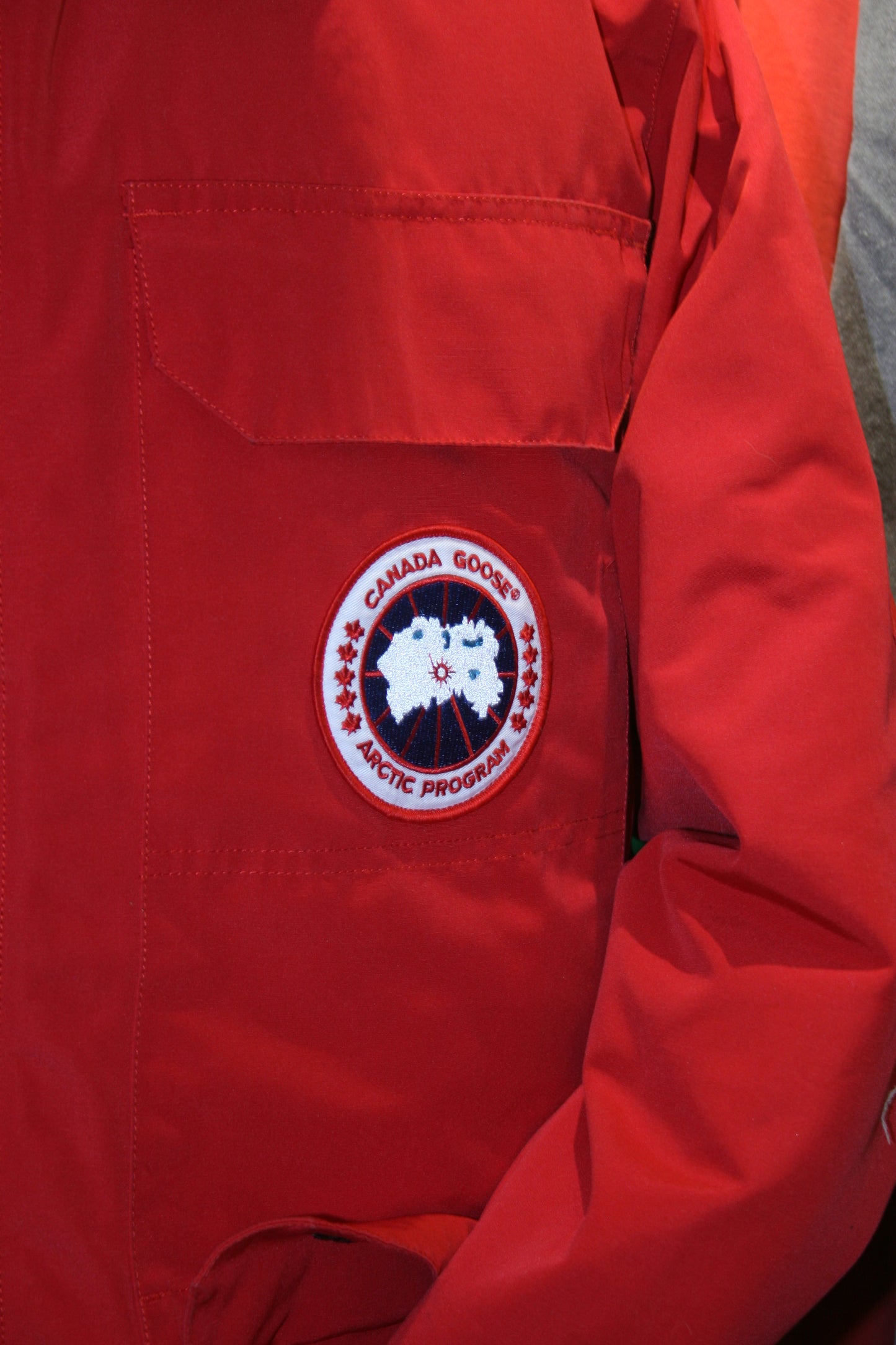 Canada goose expedition