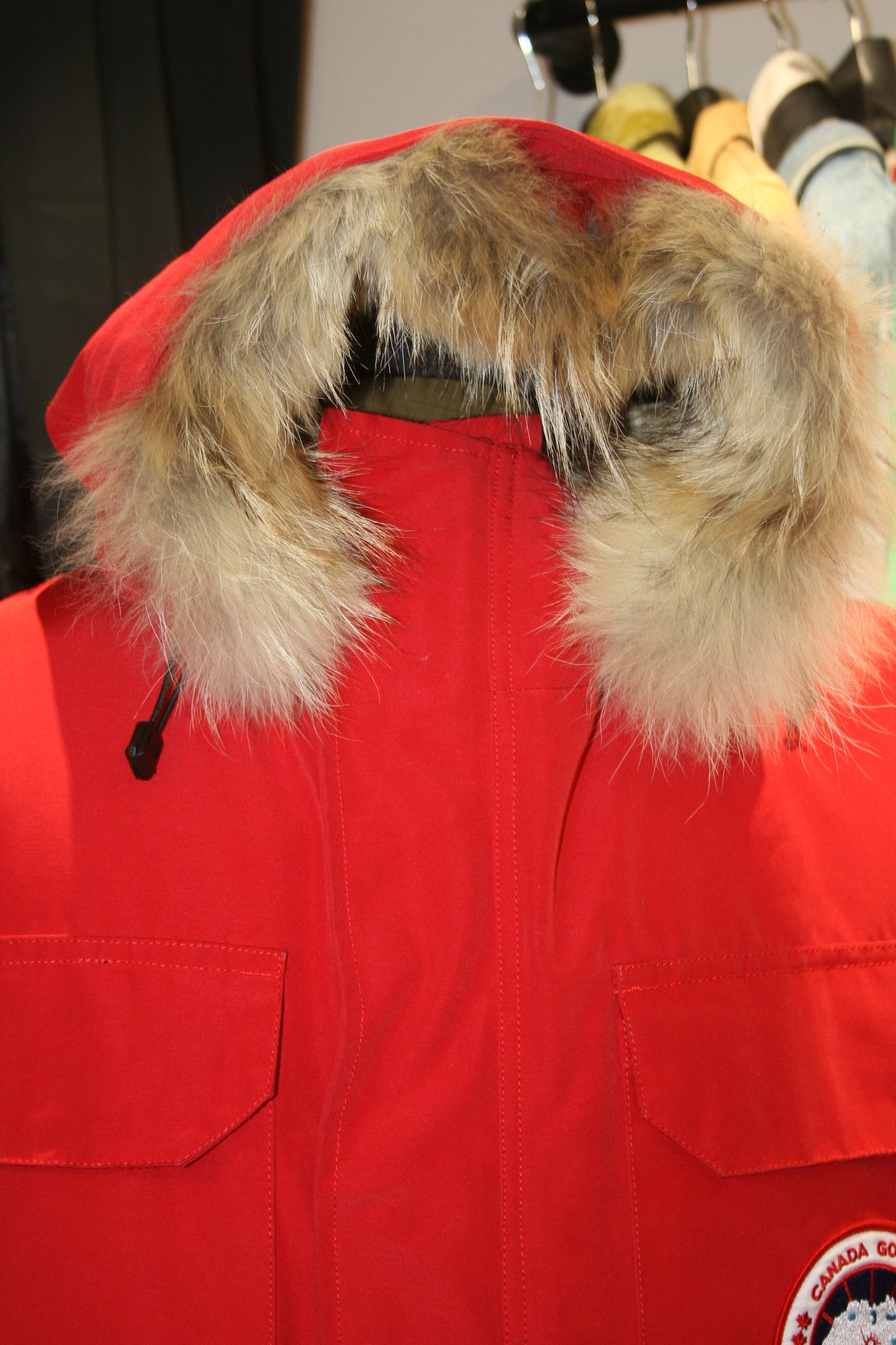 Canada goose expedition