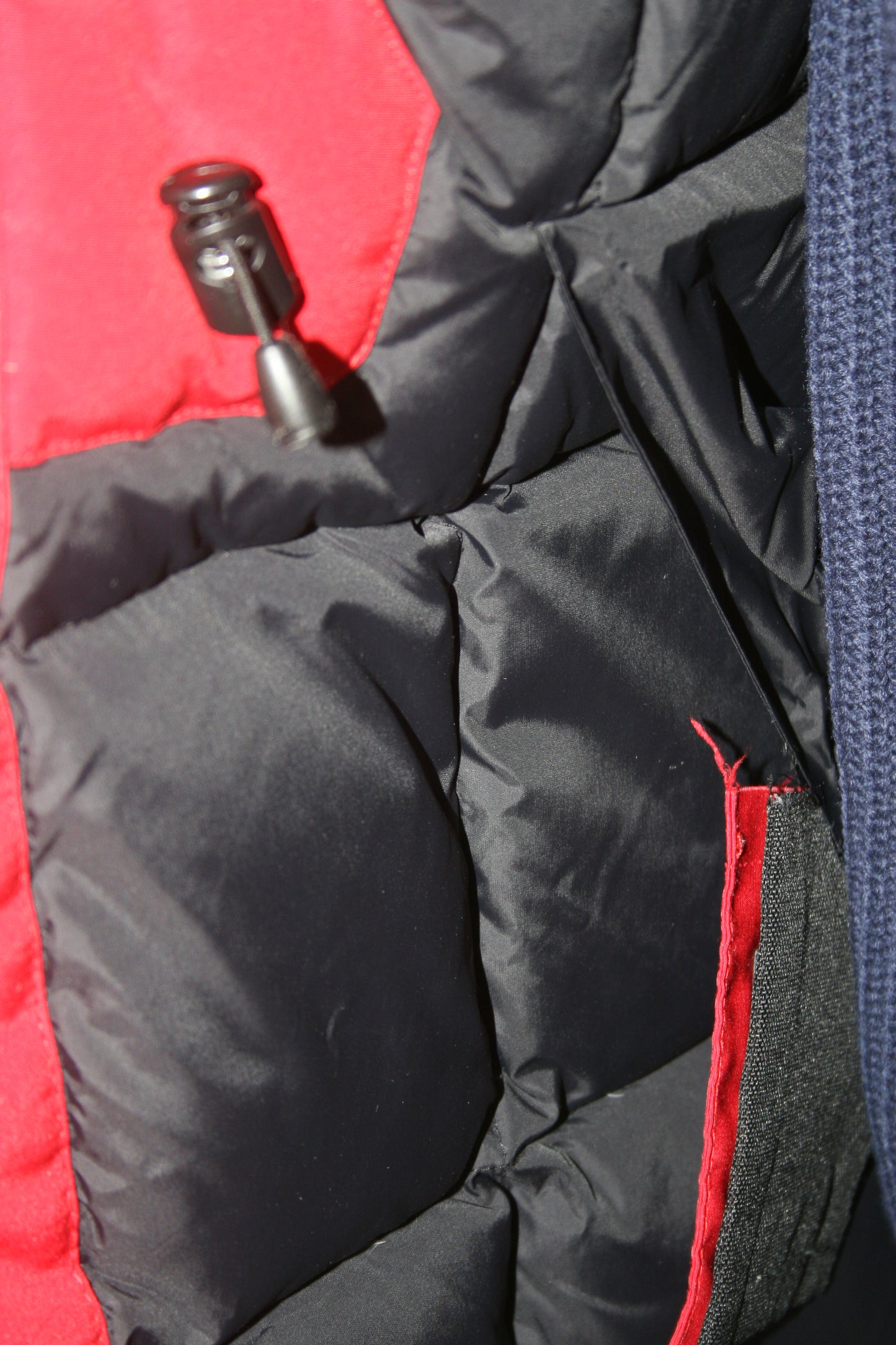 Canada goose expedition