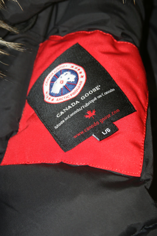Canada goose expedition